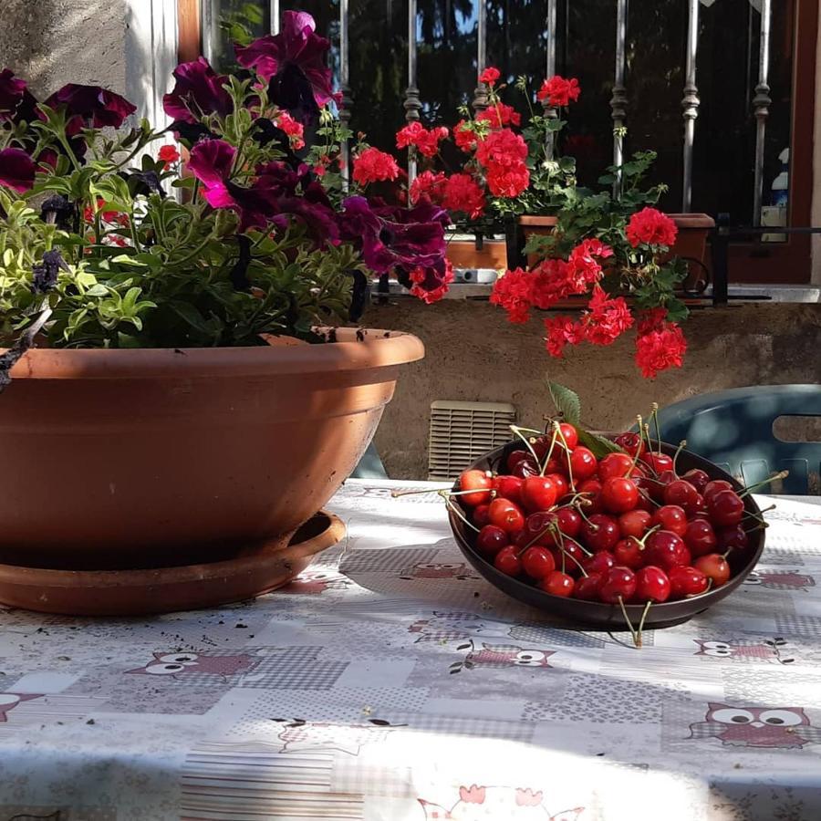 B&B Mamma Ari Fermo Exterior foto